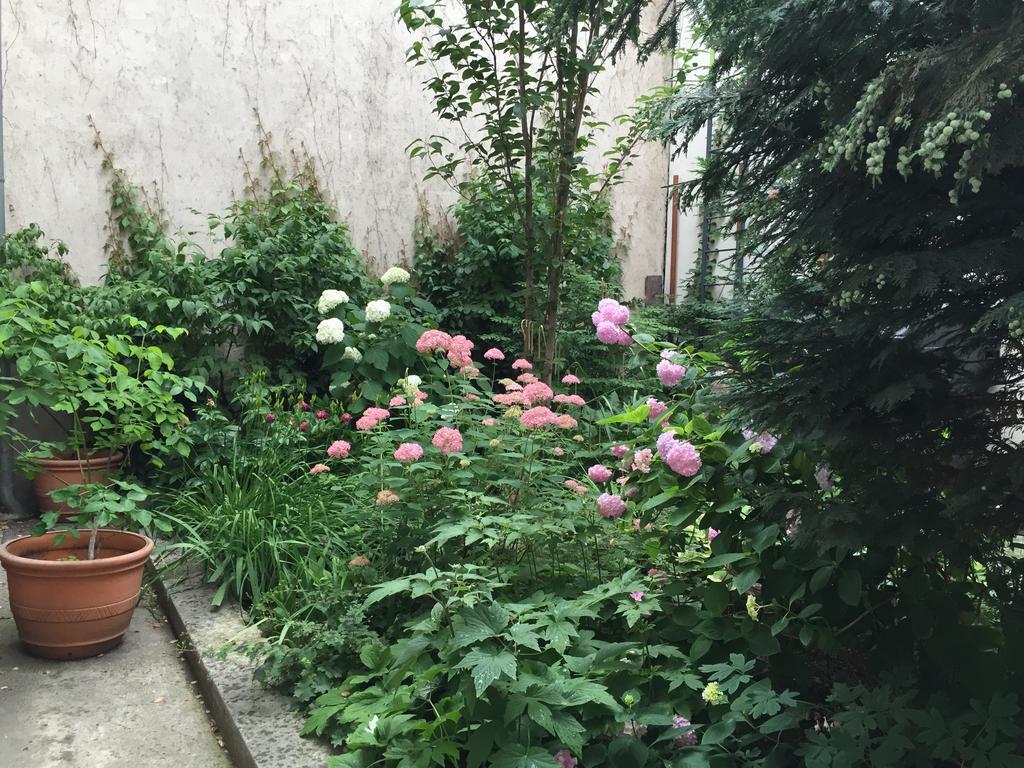Apartamento Stadthalle - Familycityapartment *